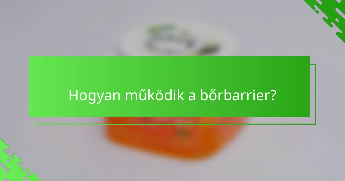Hogyan működik a bőrbarrier?