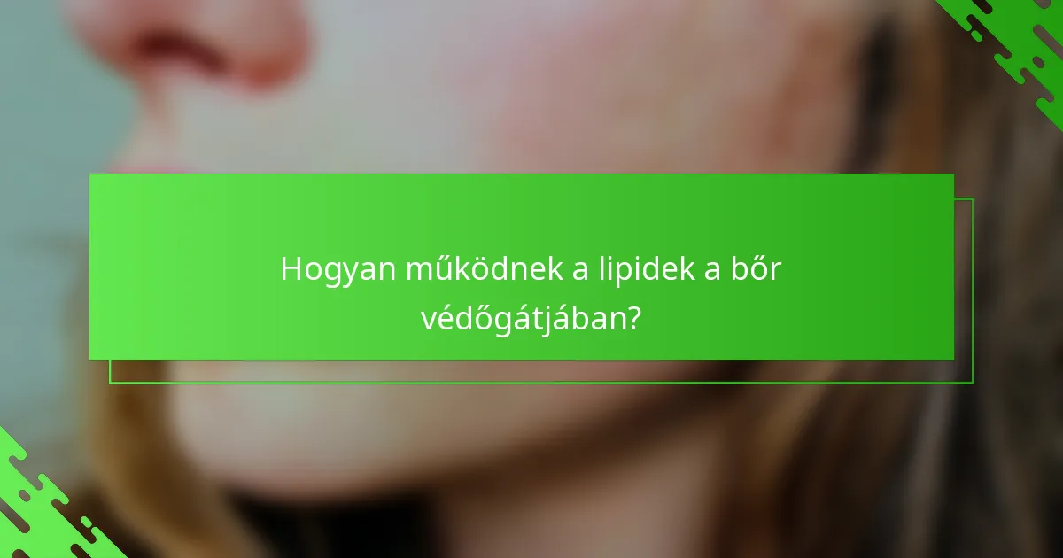 Hogyan működnek a lipidek a bőr védőgátjában?